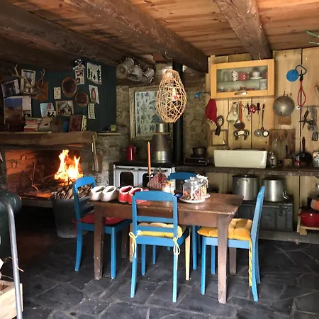 Nuit En Dans La Foret Tatil Evi