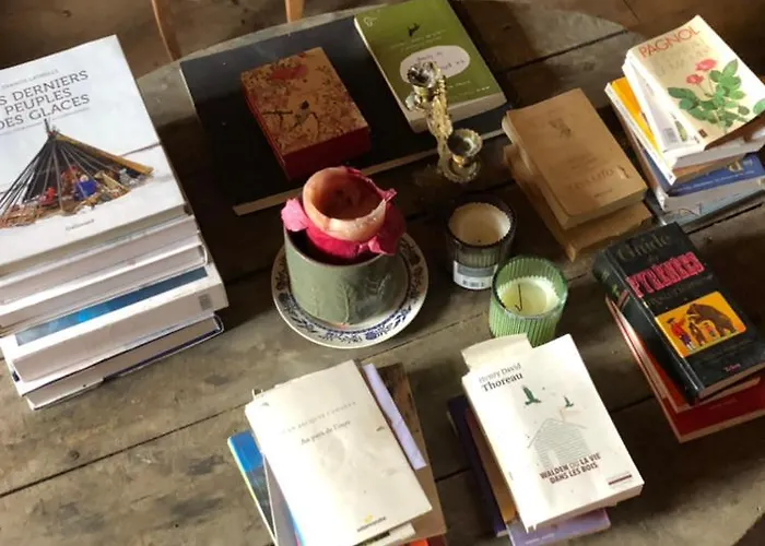 Nuit En Dans La Foret Tatil Evi *