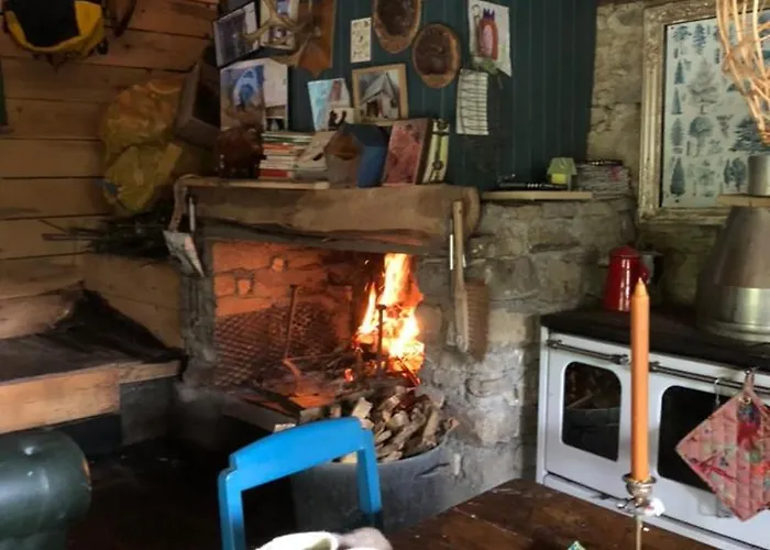 Tatil Evi Nuit En Dans La Foret *