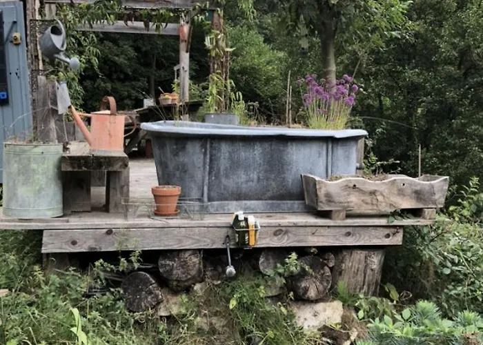 Nuit En Dans La Foret Tatil Evi Borderes-Louron