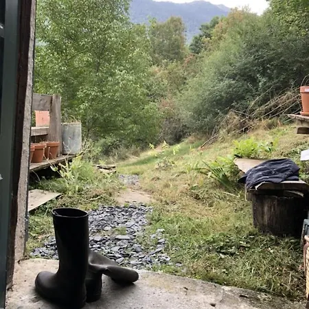 Nuit En Dans La Forêt Borderes-Louron