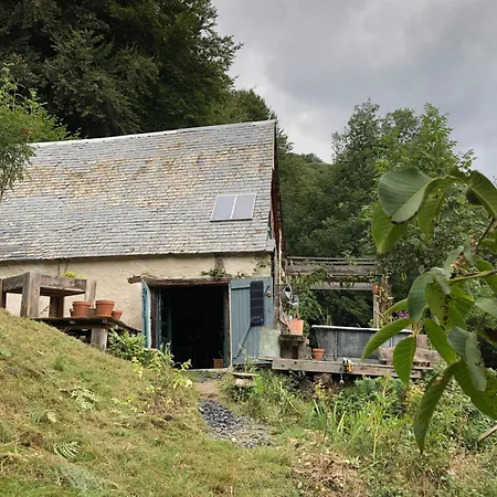 Nuit En Dans La Foret *