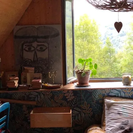 Nuit En Dans La Foret