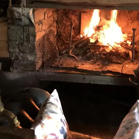 Nuit En Dans La Forêt Borderes-Louron