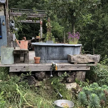 Nuit En Dans La Forêt Hébergement de vacances Borderes-Louron