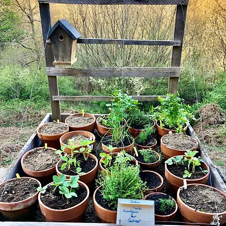 度假居 Douce Nuit Dans La Foret Pyreneenne *