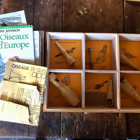 Nuit En Dans La Foret Σπίτι διακοπών Borderes-Louron