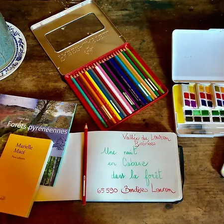 Douce Nuit Dans La Foret Pyreneenne