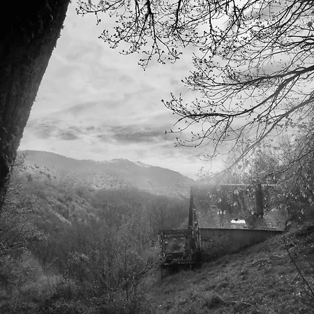Au Coeur Des Pyrenees *