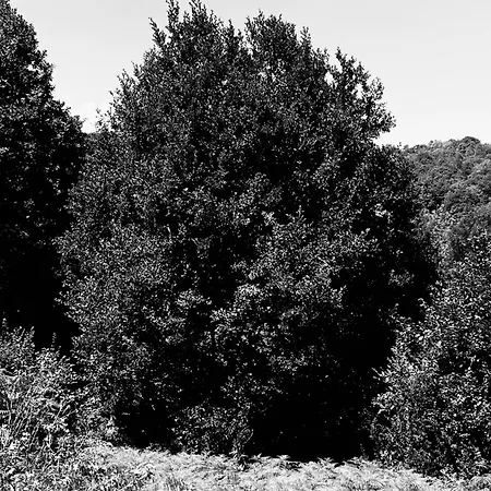 Venez Dans Notre Bergerie Au Coeur Des Pyrenees Atypique *