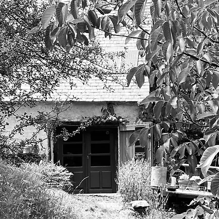 Venez Dans Notre Bergerie Au Coeur Des Pyrenees Atypique בית נופש