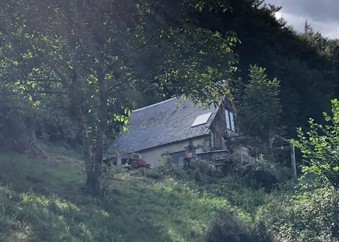 Nuit En Dans La Foret Holiday home *