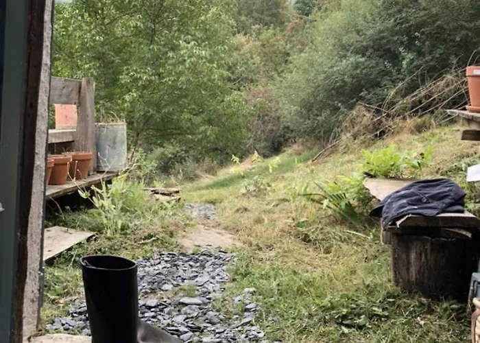 Douce Nuit Dans La Foret Pyreneenne Borderes-Louron