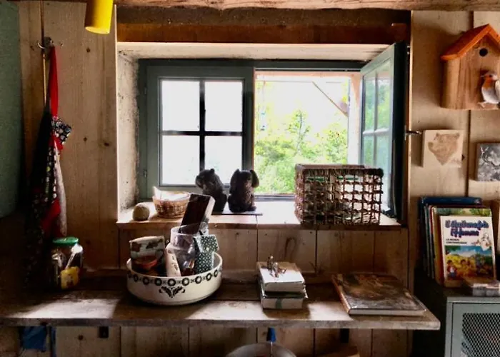 Hébergement de vacances Nuit En Dans La Forêt