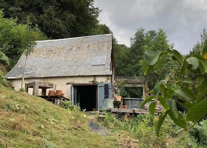 Douce Nuit Dans La Foret Pyreneenne *