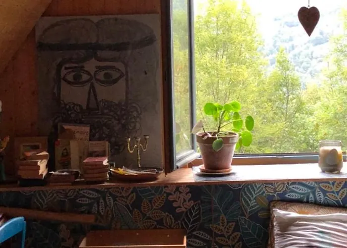 Nuit En Dans La Forêt