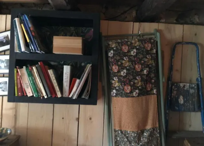 Nuit En Dans La Forêt Hébergement de vacances *