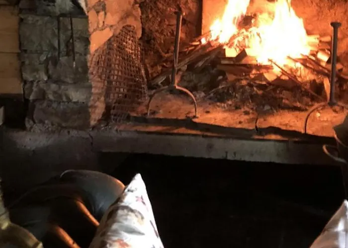 Nuit En Dans La Forêt Borderes-Louron