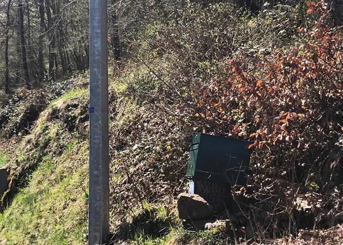 Douce Nuit Dans La Foret Pyreneenne 度假居 *