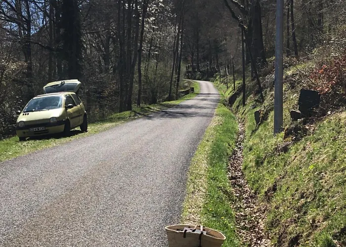 Douce Nuit Dans La Foret Pyreneenne