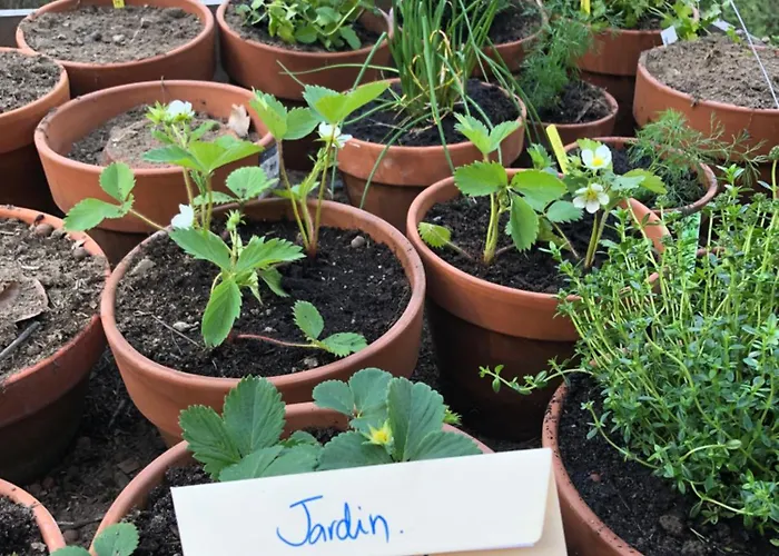 度假居 Douce Nuit Dans La Foret Pyreneenne