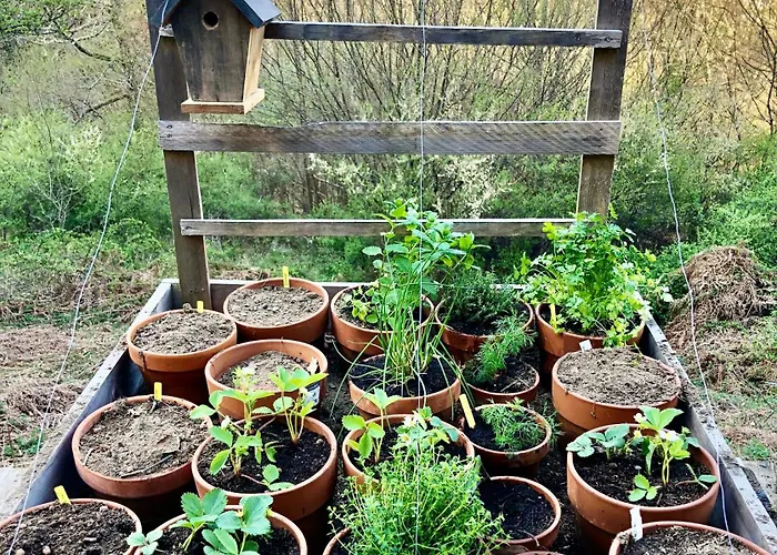 度假居 Douce Nuit Dans La Foret Pyreneenne *