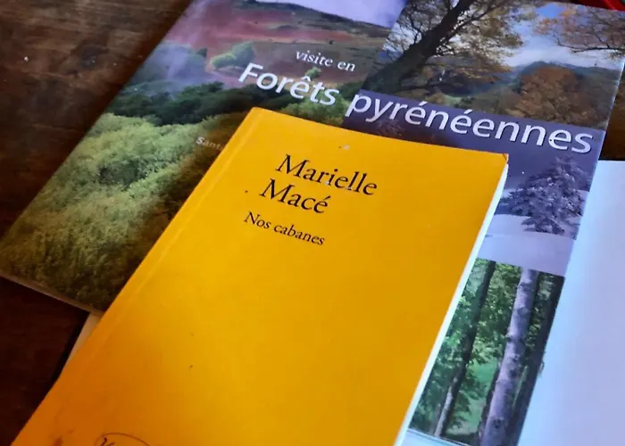 Nuit En Dans La Foret Σπίτι διακοπών