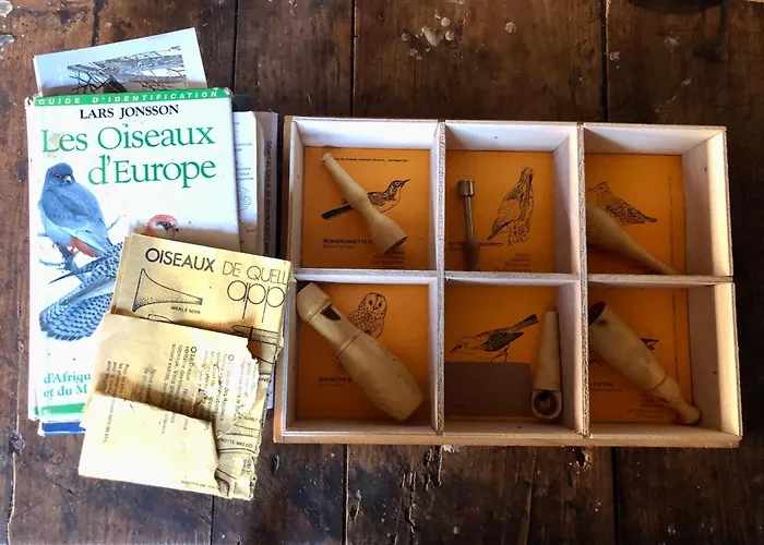 Nuit En Dans La Foret Σπίτι διακοπών Borderes-Louron