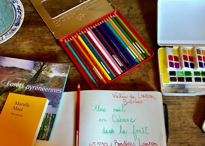 Douce Nuit Dans La Foret Pyreneenne