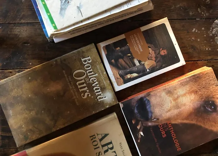 Σπίτι διακοπών Nuit En Dans La Foret