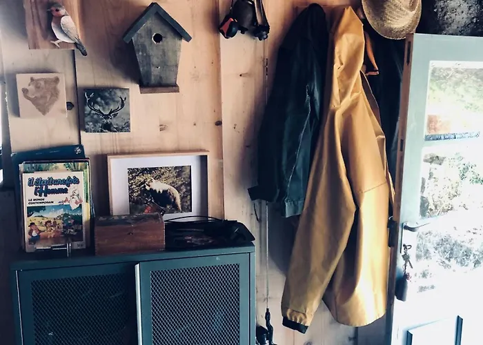 Σπίτι διακοπών Nuit En Dans La Foret *