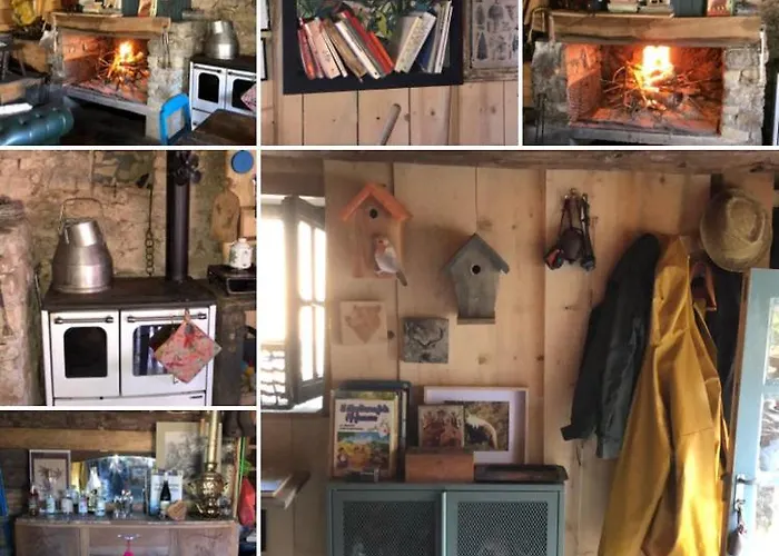 Nuit En Dans La Foret