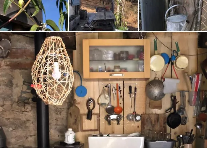 Nuit En Dans La Foret *