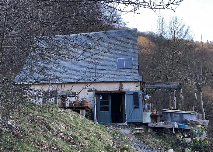 Nuit En Dans La Foret Σπίτι διακοπών