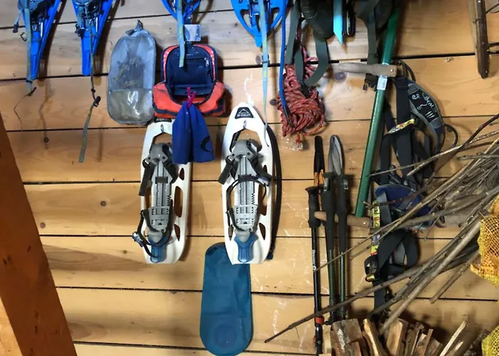 Nuit En Dans La Foret